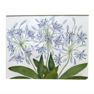 Painting Watercolor Flower Agapanthus Blue Purple 11x14 & Black Mat 16x20 Art